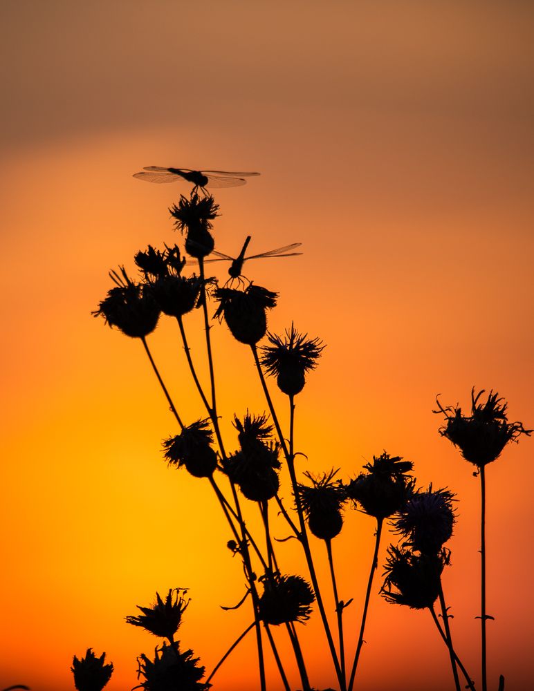 Photograph by Сергей Юрков