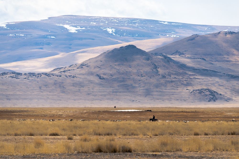 Photograph by Сергей Юрков