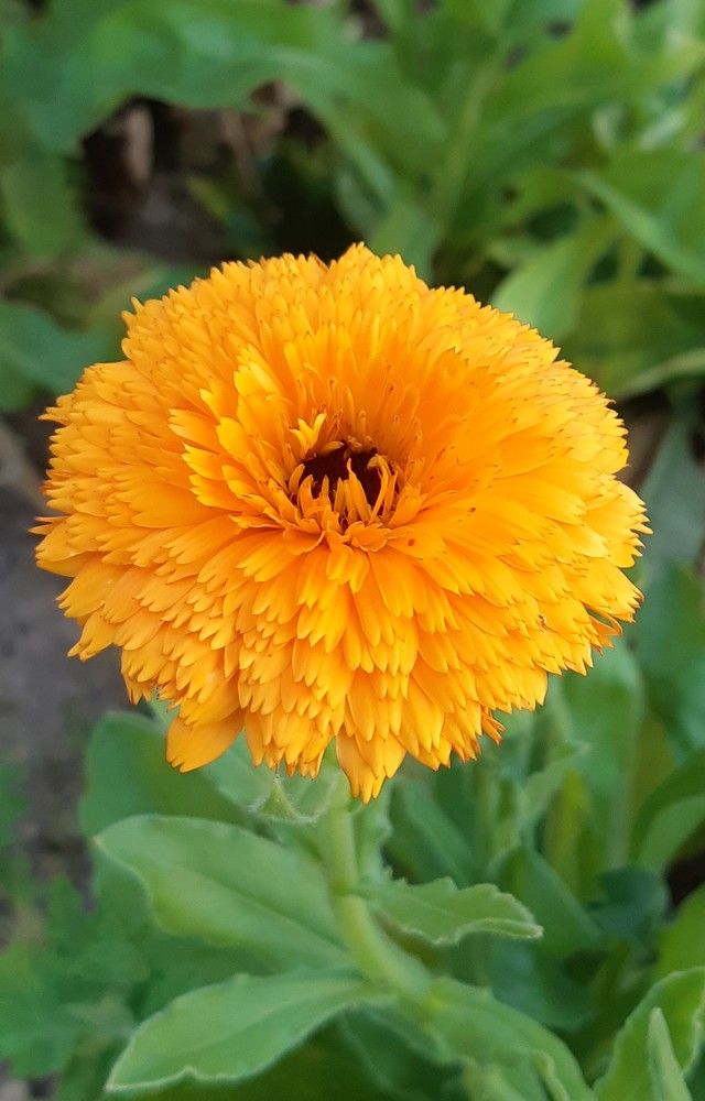 Фотография автора Ирина Лукьянчик