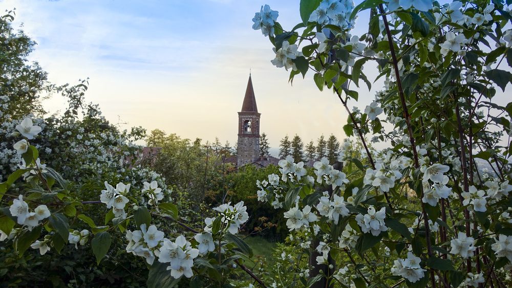 Appennini Piacentini Panorama