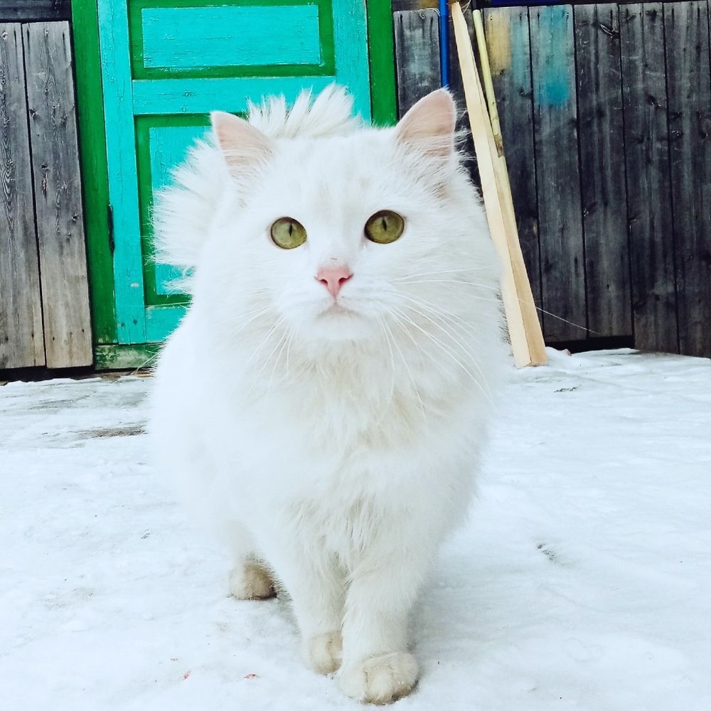 Photograph by Екатерина Филина