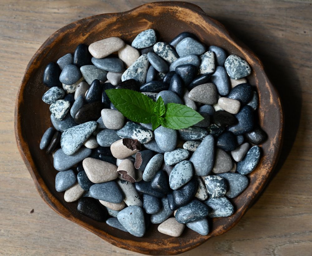 Photograph by Ксения