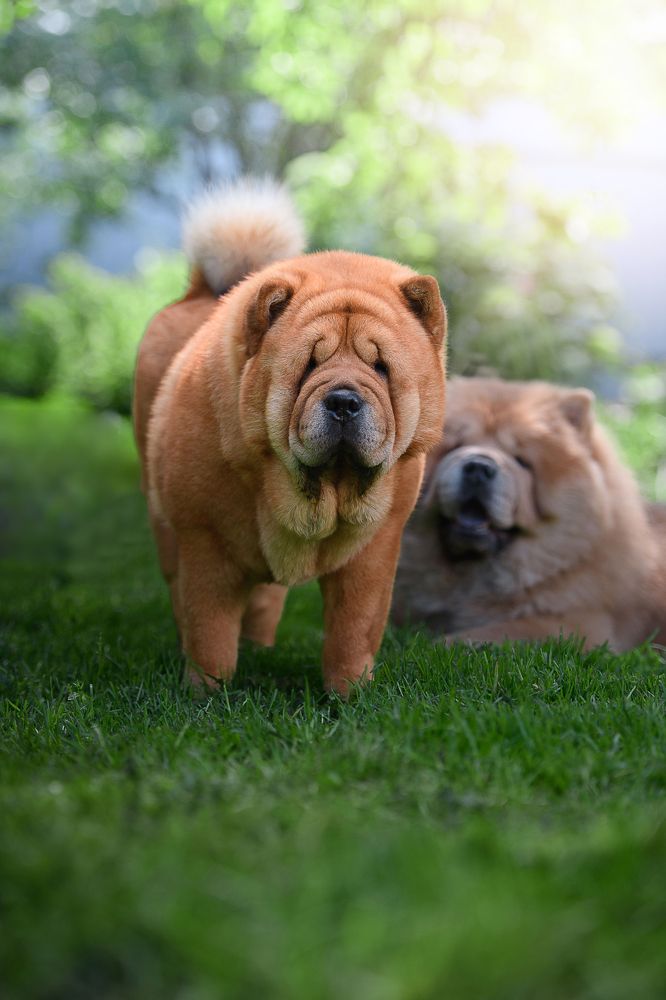 Photograph by Дарья Лисицына