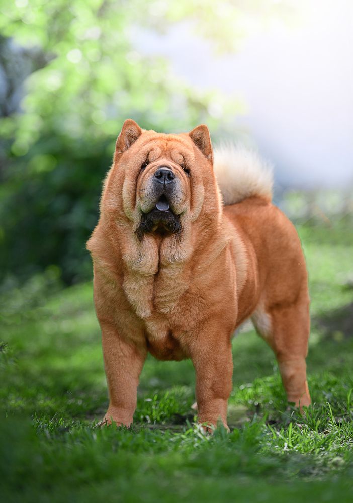 Photograph by Дарья Лисицына