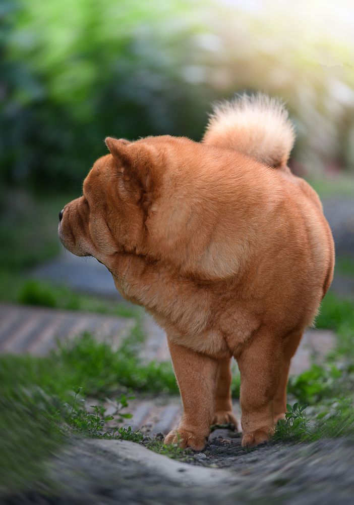 Photograph by Дарья Лисицына