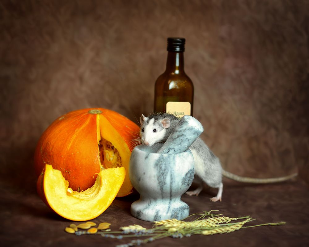 Photograph by Светлана Попова