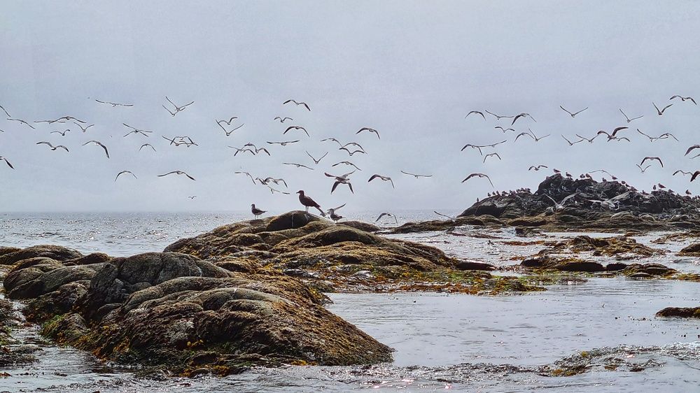 Photograph by Оксана Новикова