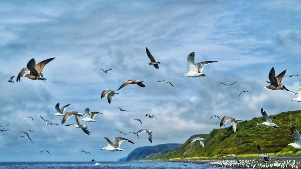 Photograph by Оксана Новикова