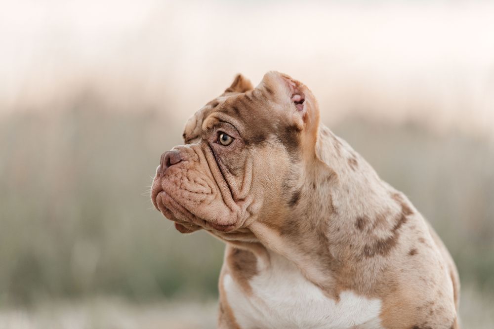 Photograph by Дарья Лисицына