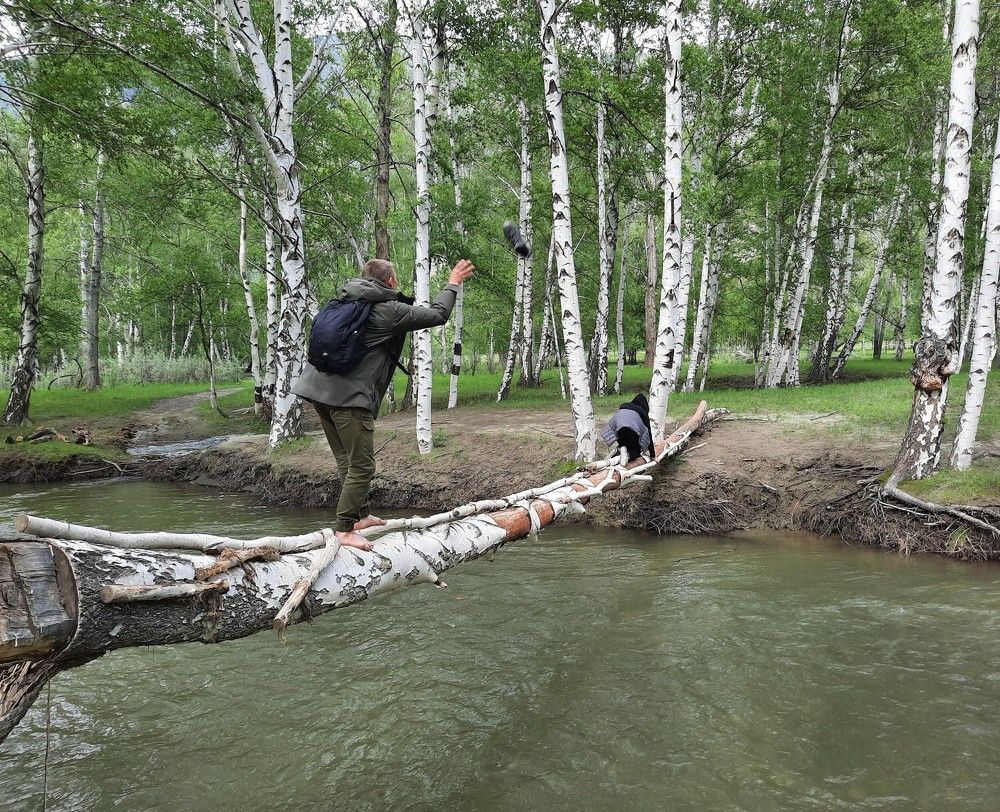 Фотография автора Елена Пикатова