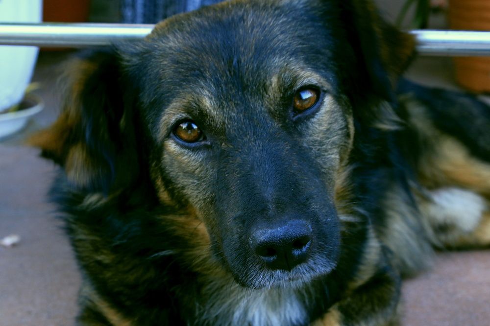 Photograph by Игорь Куленко