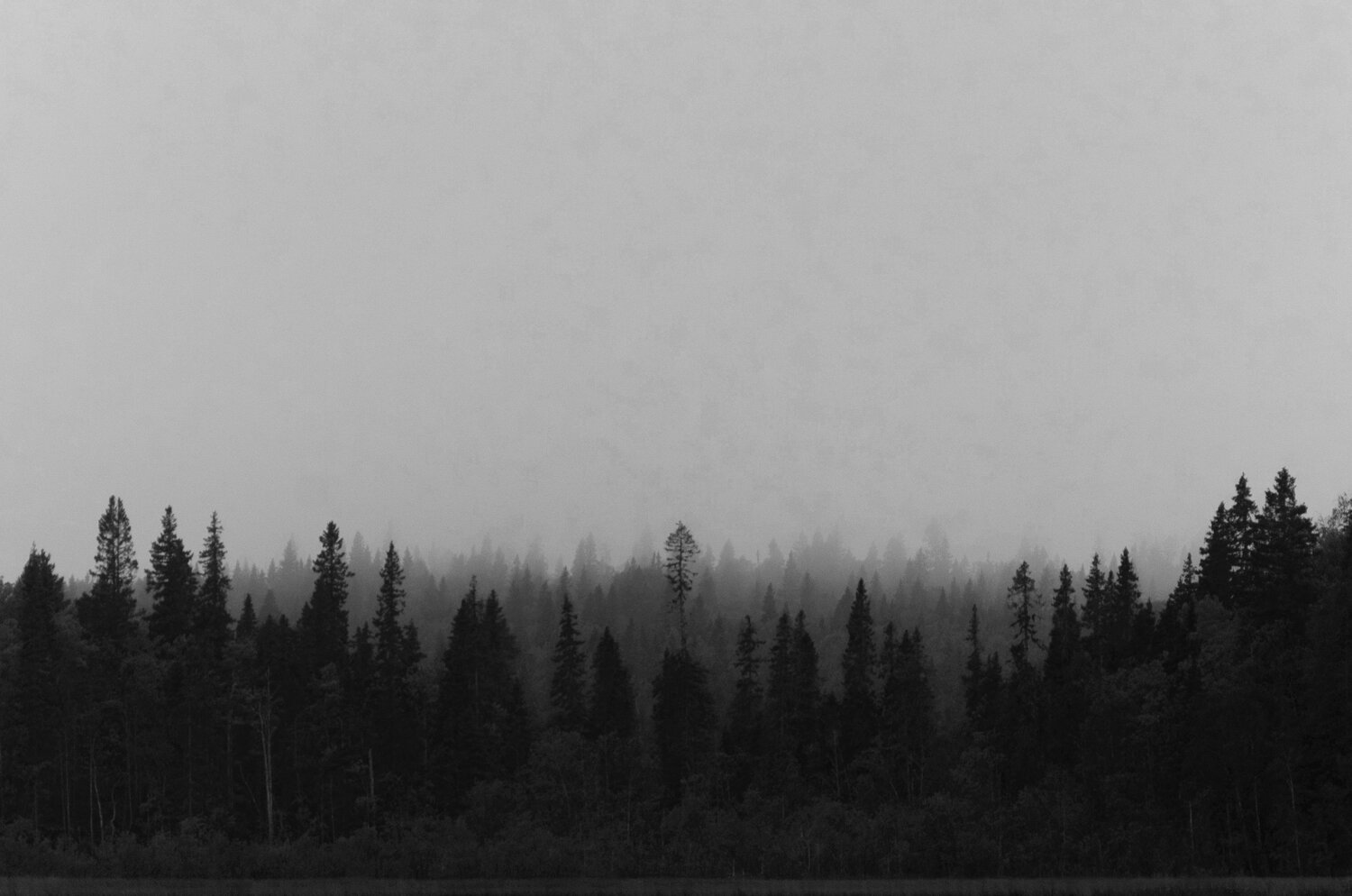 Photo #9436966