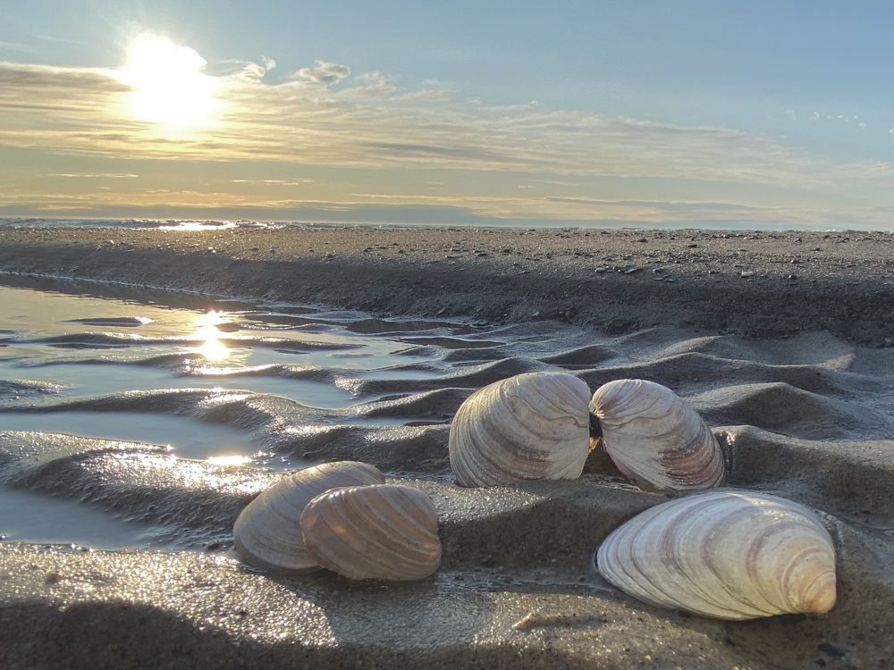 Карское море, песчаные косы