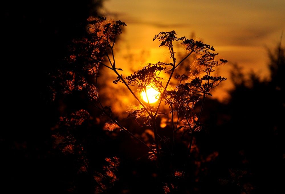 Photograph by Ольга Струкалина