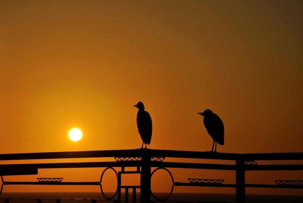 Photograph by Ольга Струкалина