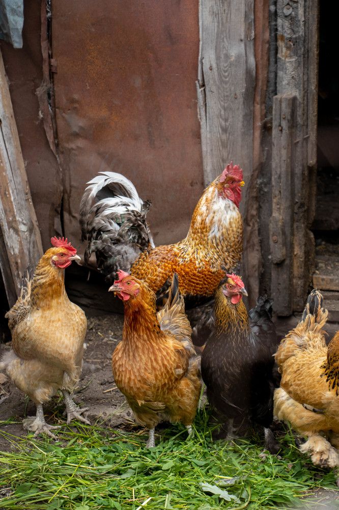 Photograph by Ксения Щукина