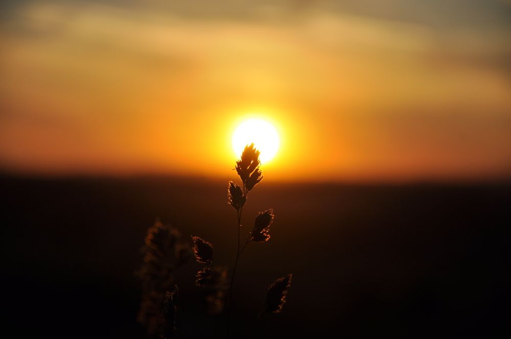 Photograph by Ольга Струкалина