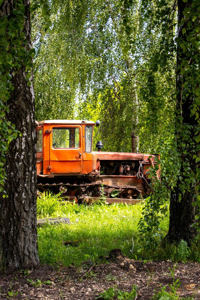 Photograph by Ксения Щукина