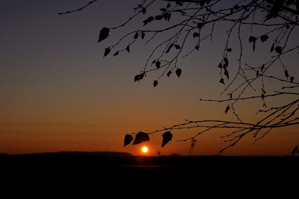 Photograph by Ольга Струкалина