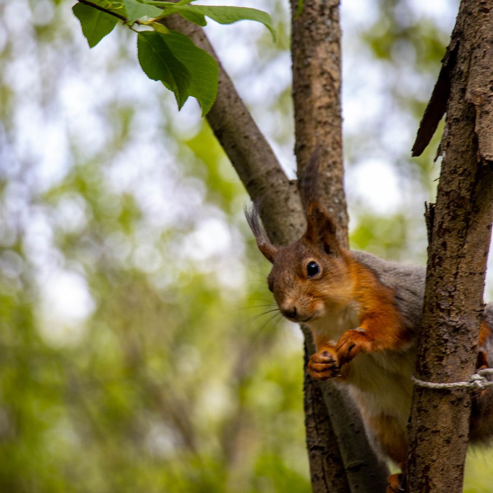 Photograph by Ксения Щукина