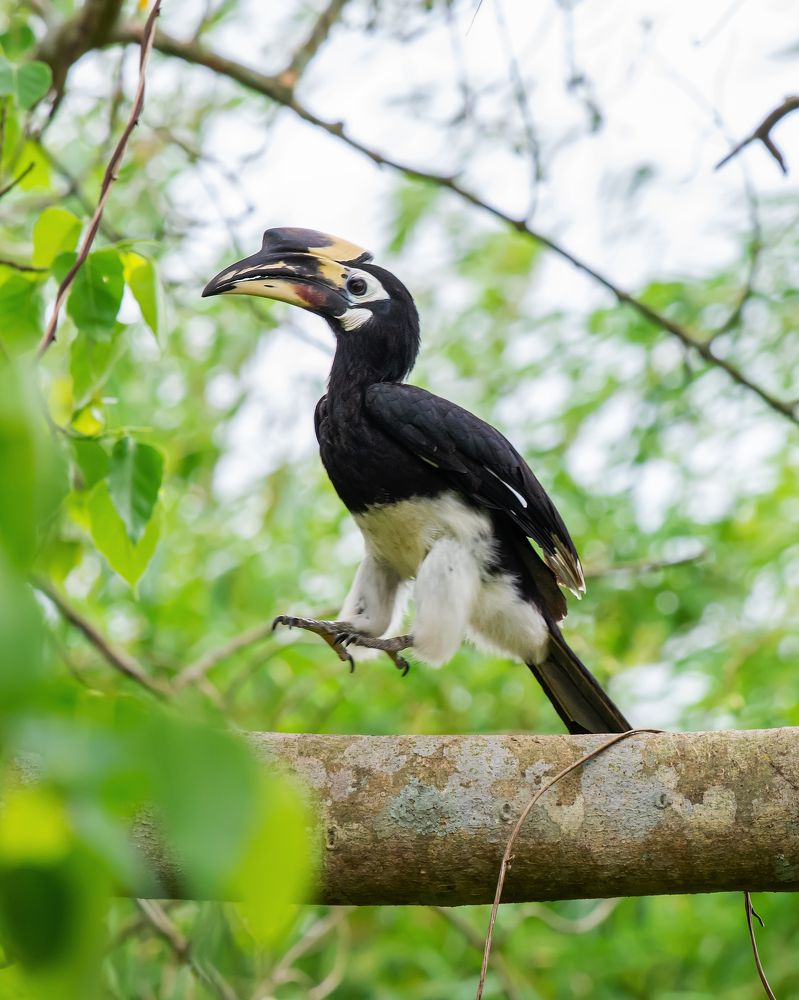 Photograph by Pinak Paul