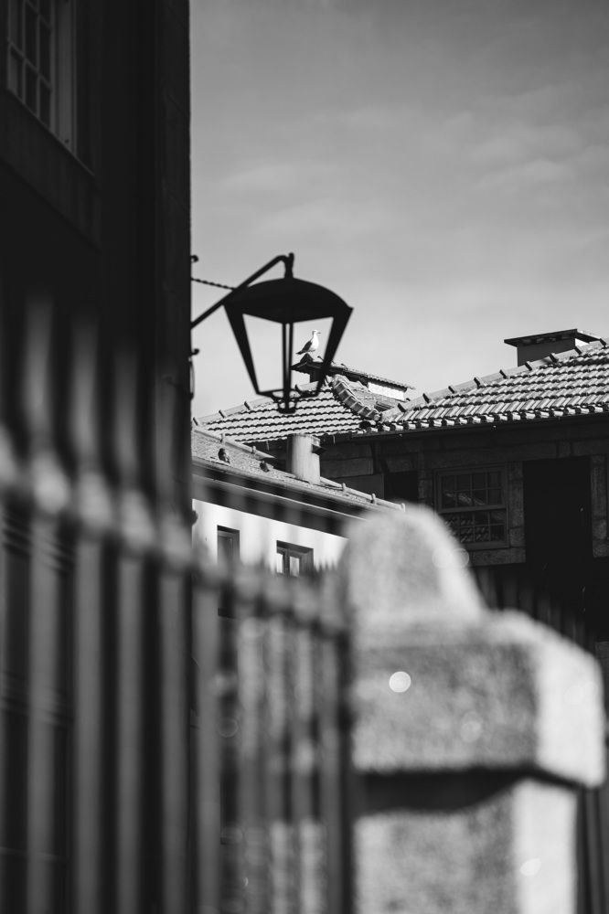 Photograph by Mihail Bacalu