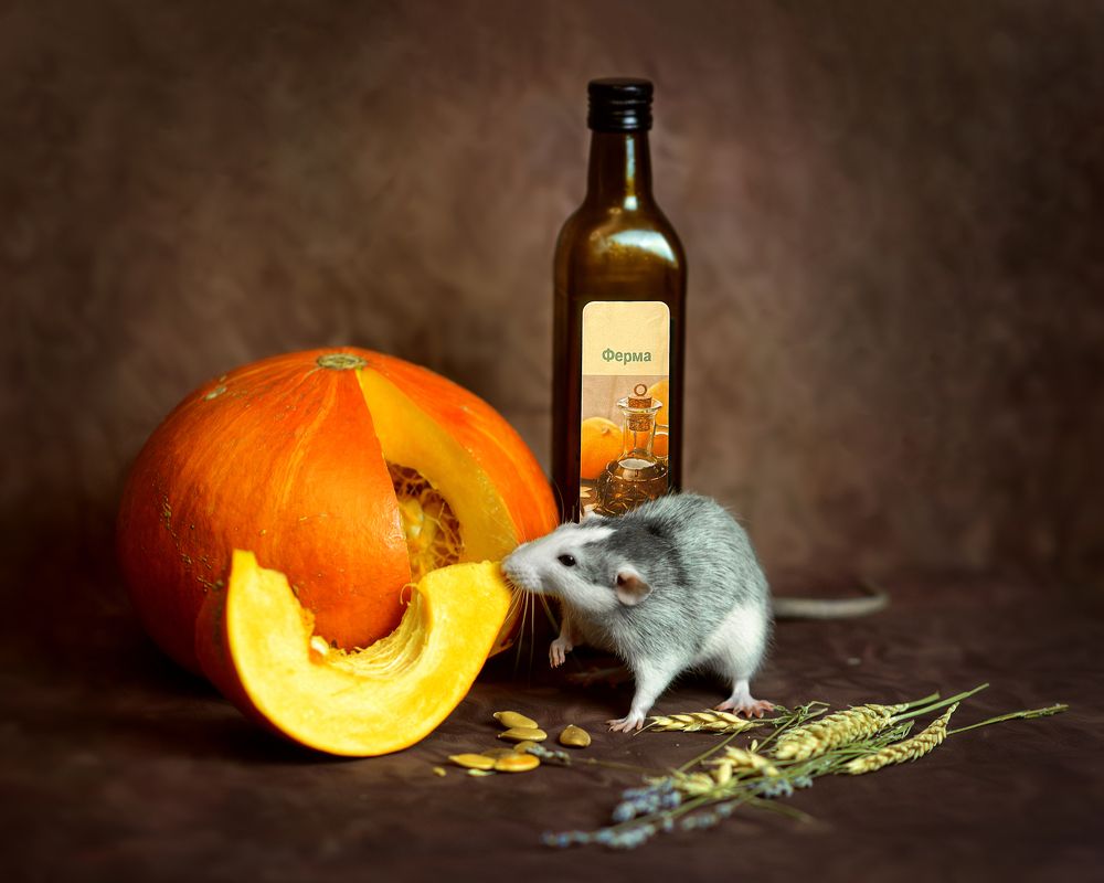 Photograph by Светлана Попова