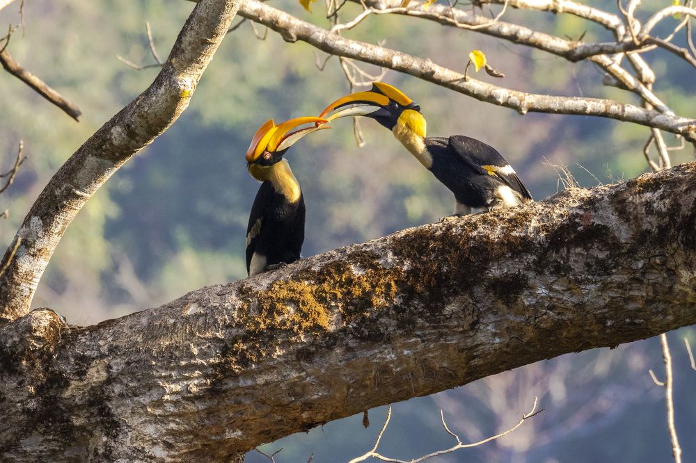 Photograph by Dhananjay Jadhav