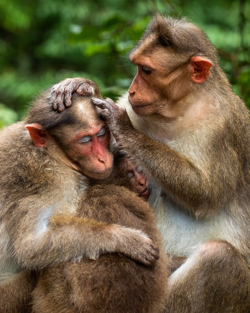 Photograph by Dhananjay Jadhav