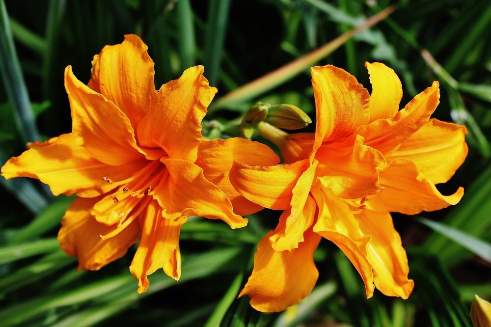 Photograph by Анна Восковых