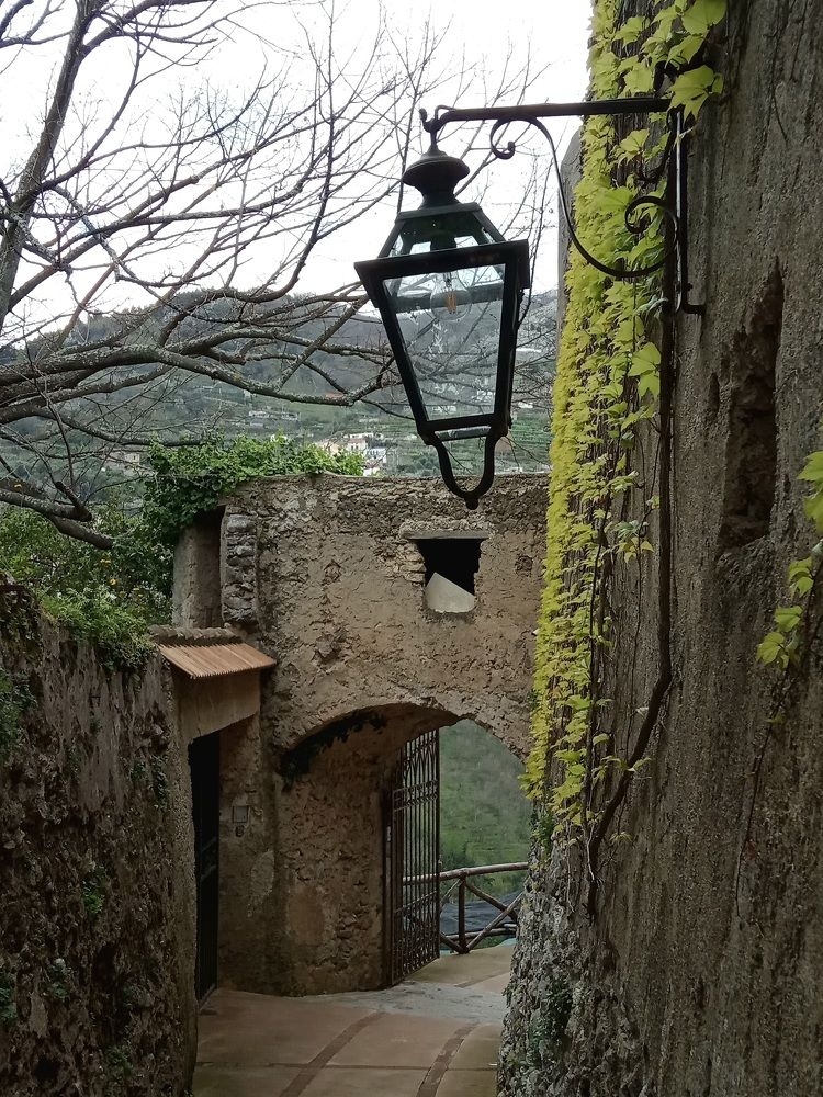 Photograph by Ирина Синягина