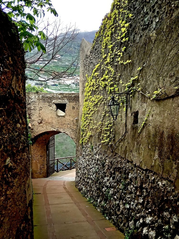 Photograph by Ирина Синягина