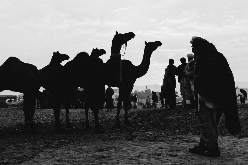 Photograph by Nitin Sidhpura