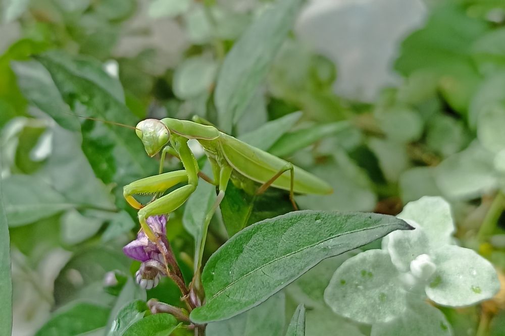 Photograph by Анна Виноградова