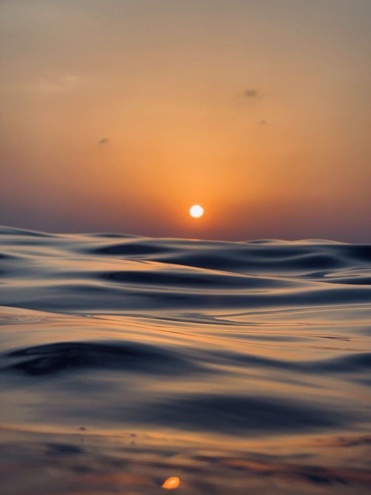 Photograph by Lika Arobelidze