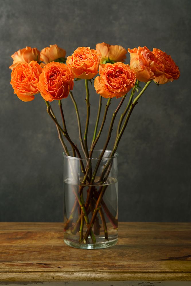 day_Orange rose flowes in the glass vase