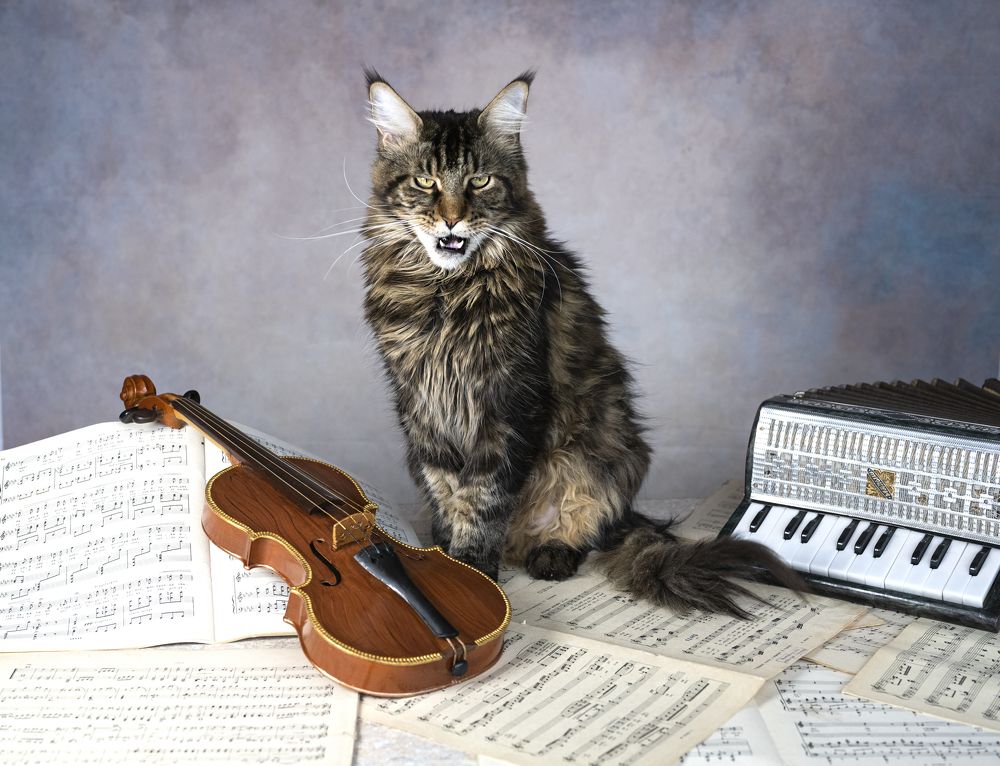 Photograph by NADEZHDA PELYMSKAIA