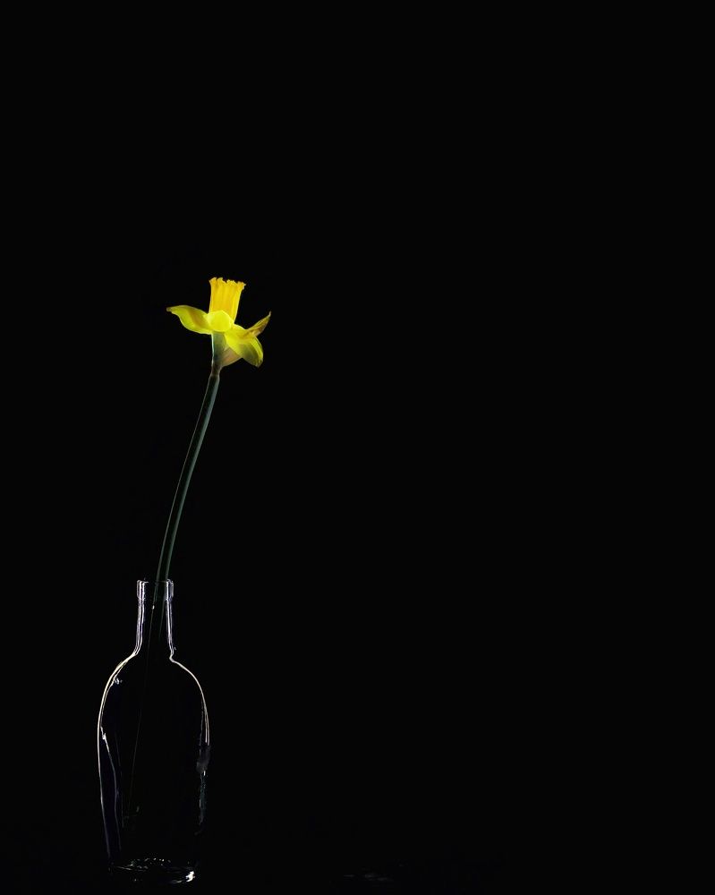 Photograph by Olga Asson