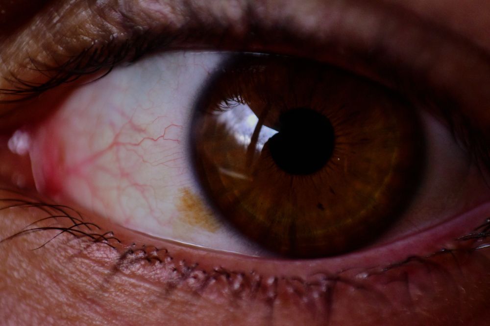 Photograph by Filip Dujovski