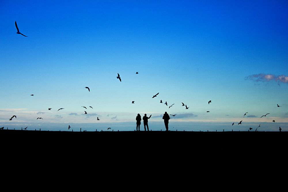 Photograph by Анна Петренко-Лопатина