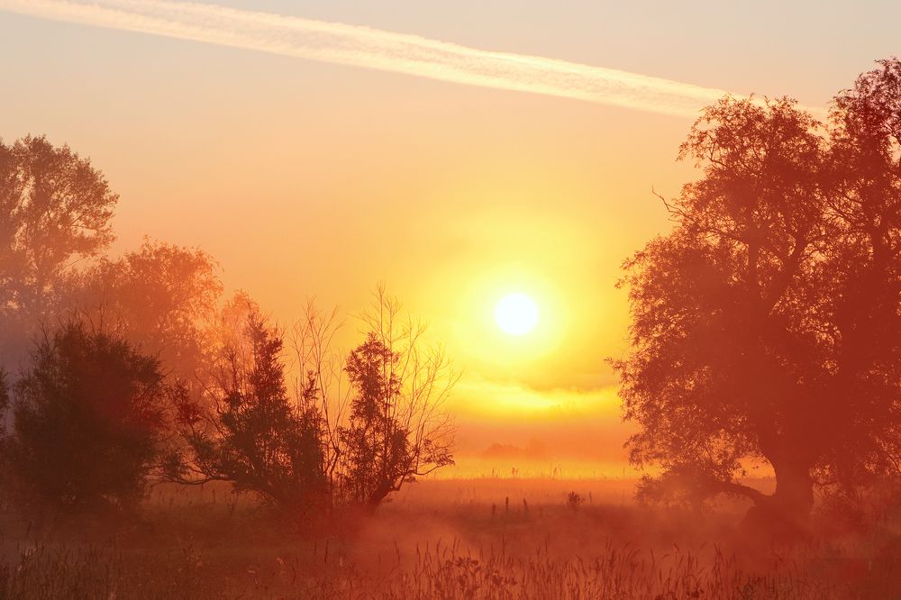 Photograph by Юрий Спасенников