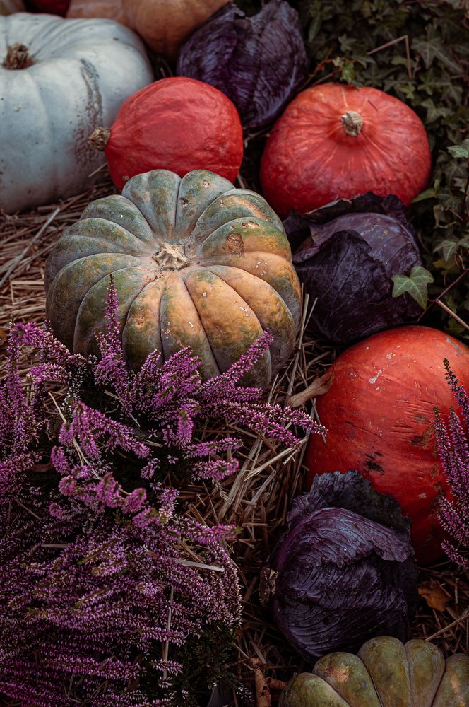 Photograph by Олеся Лагутина