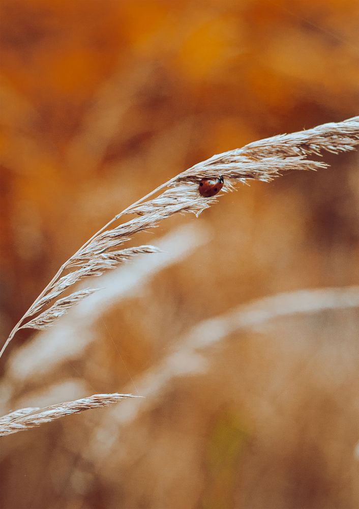 Photograph by Олеся Лагутина