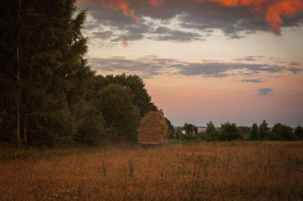 Photograph by Олеся Лагутина