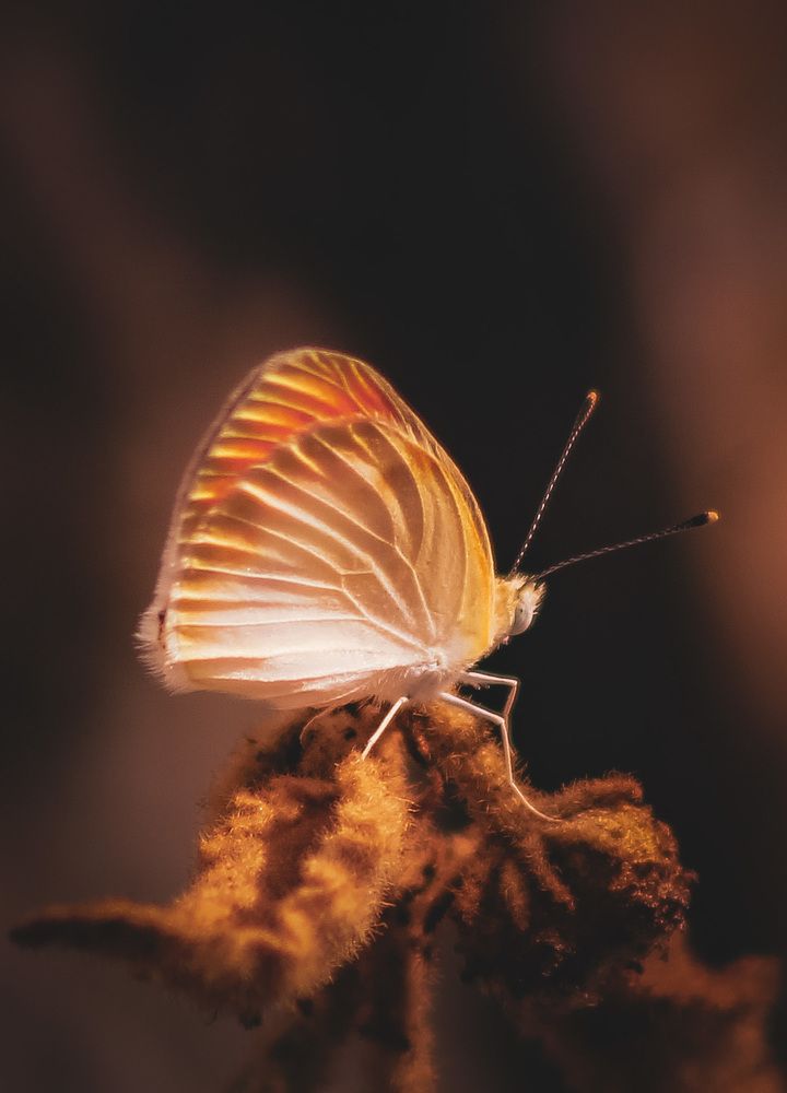 Photograph by Waleed Yousuf Alwahaibi