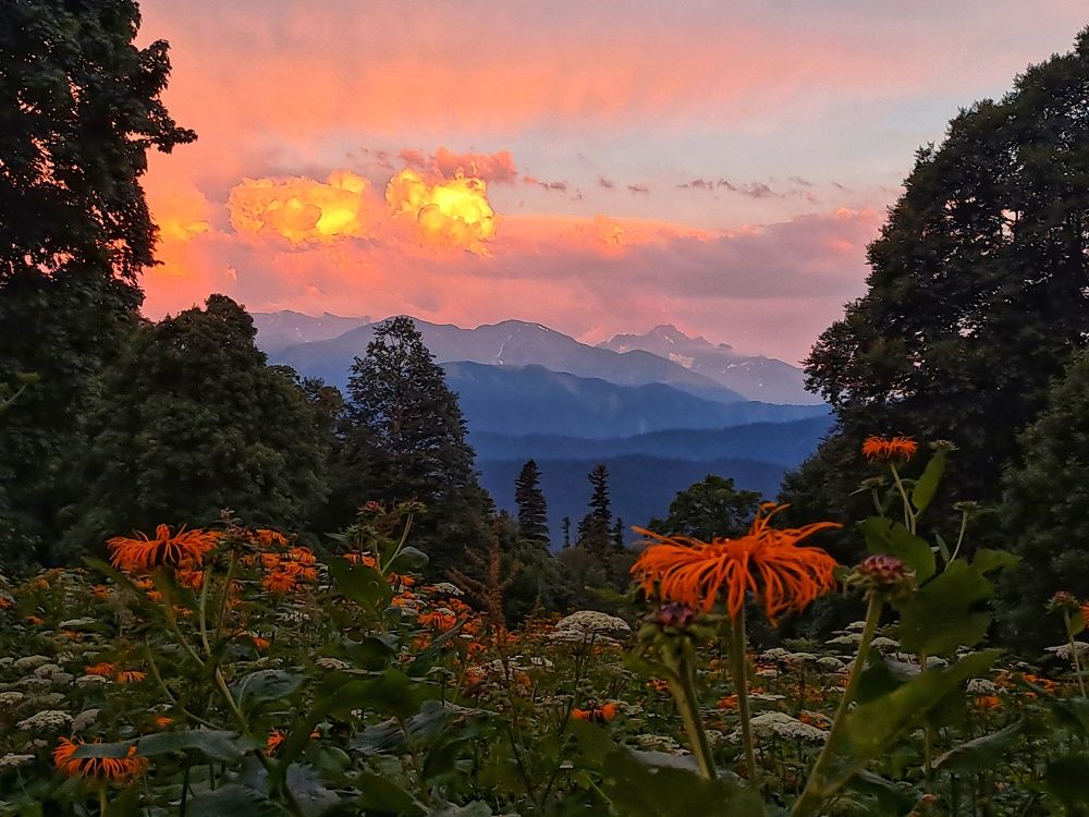 Photograph by Владимир Караман