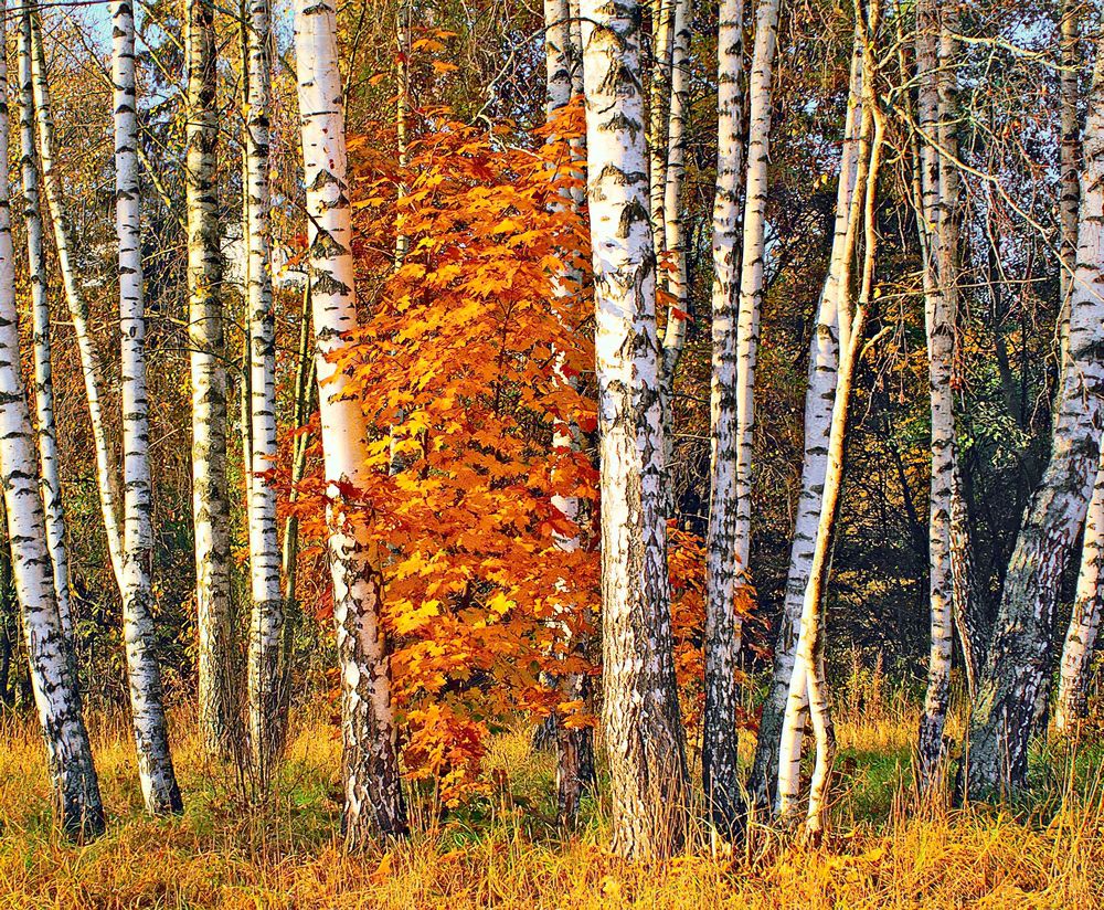 Photograph by Юрий Спасенников