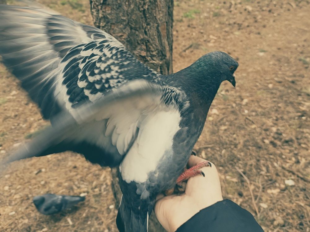 Фотография автора Ola La