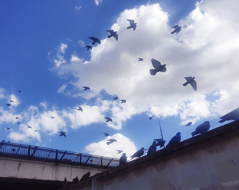 Photograph by Aleksandra