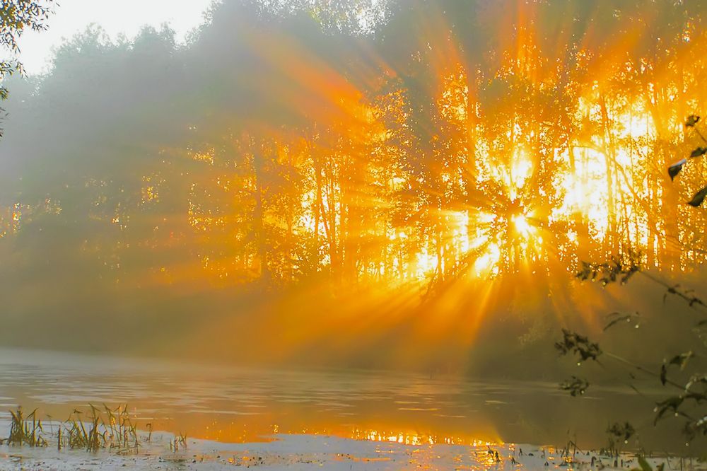 Photograph by Юрий Спасенников